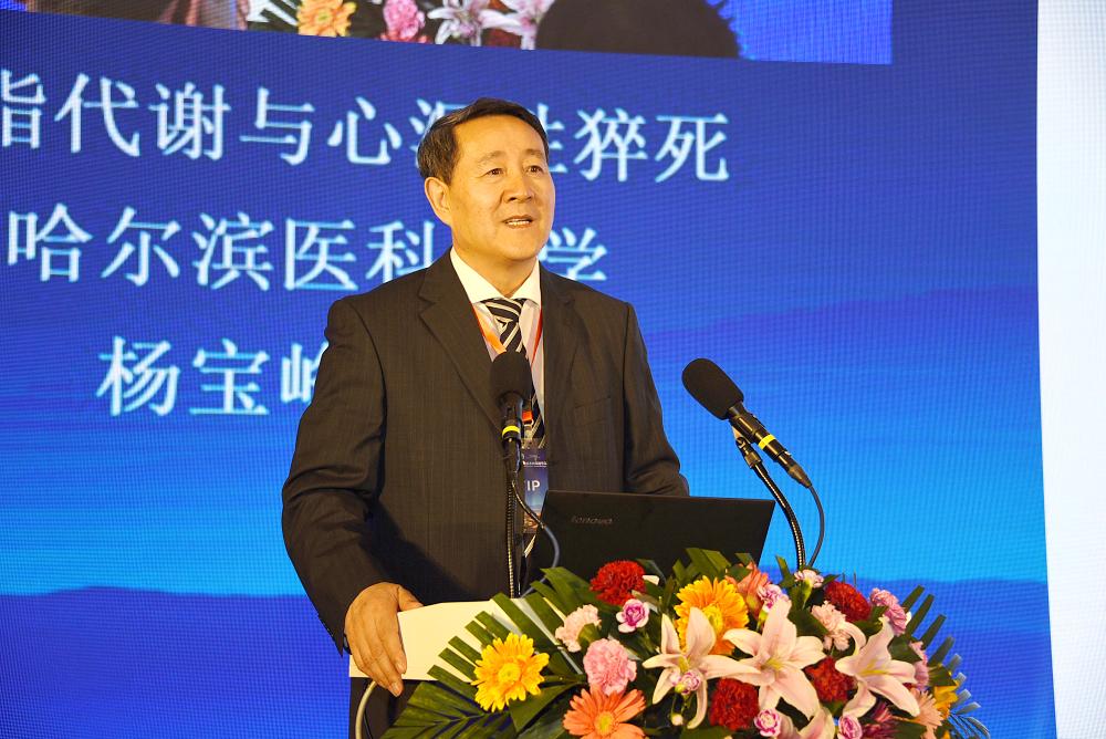 中国工程院院士、哈尔滨医科大学杨宝峰教授作题为《三氧化二砷的发现、毒性防治及启示》的学术报告