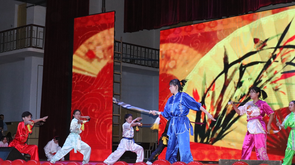 武术表演《青春接力》