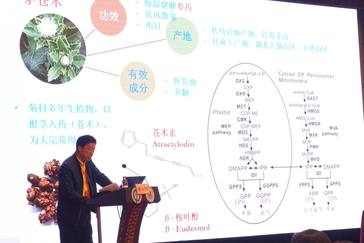 湖北中医药大学副校长黄必胜教授作学术报告